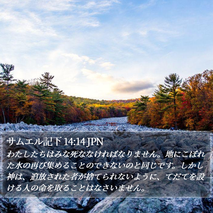 サムエル記下 14:14 JPN Bible Study