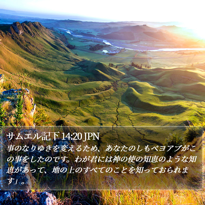 サムエル記下 14:20 JPN Bible Study