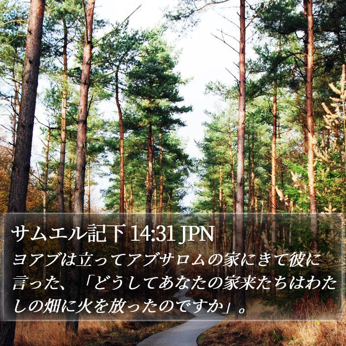 サムエル記下 14:31 JPN Bible Study