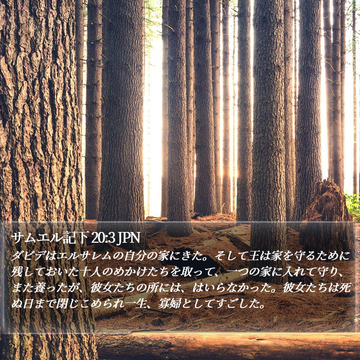 サムエル記下 20:3 JPN Bible Study