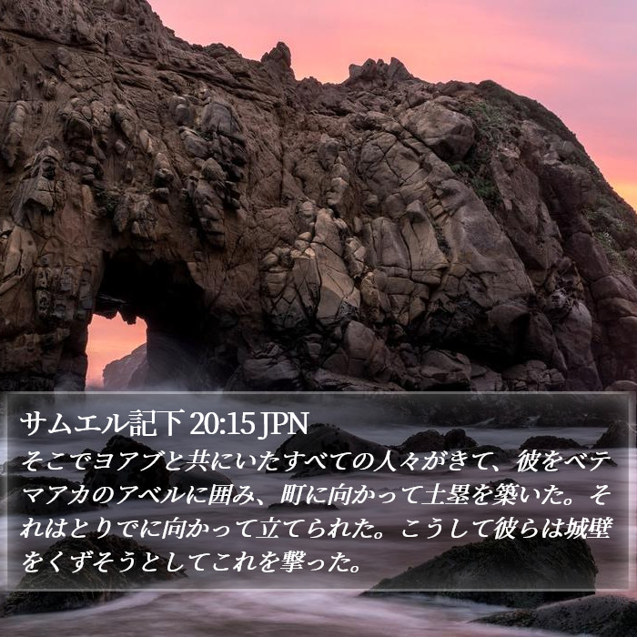 サムエル記下 20:15 JPN Bible Study