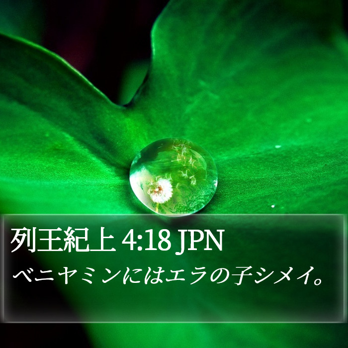 列王紀上 4:18 JPN Bible Study