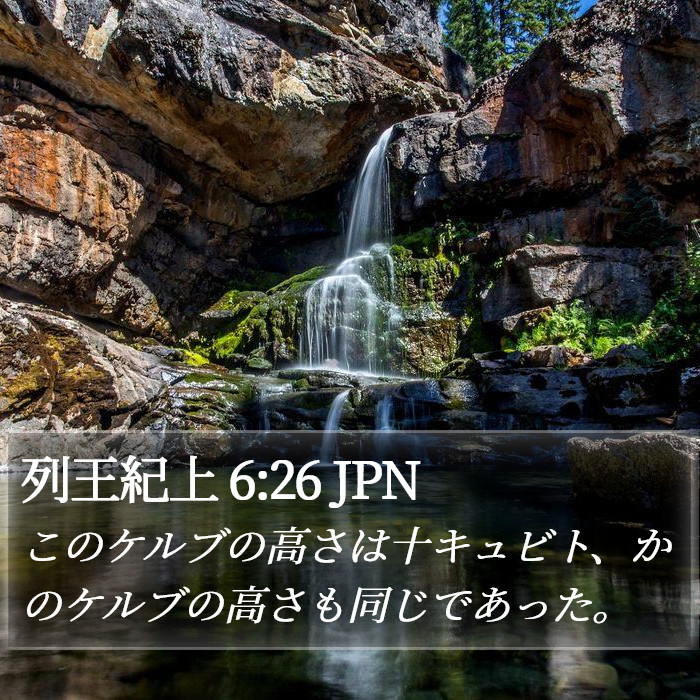 列王紀上 6:26 JPN Bible Study