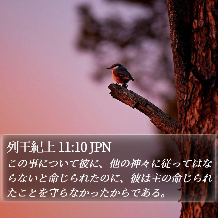 列王紀上 11:10 JPN Bible Study