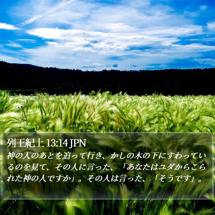 列王紀上 13:14 JPN Bible Study