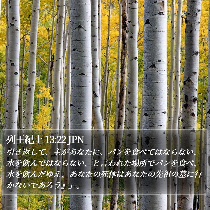 列王紀上 13:22 JPN Bible Study