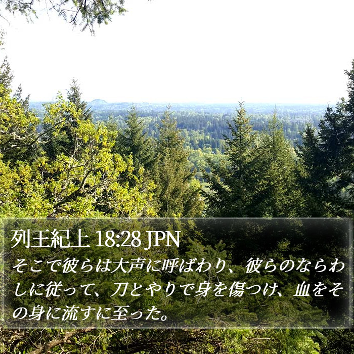 列王紀上 18:28 JPN Bible Study