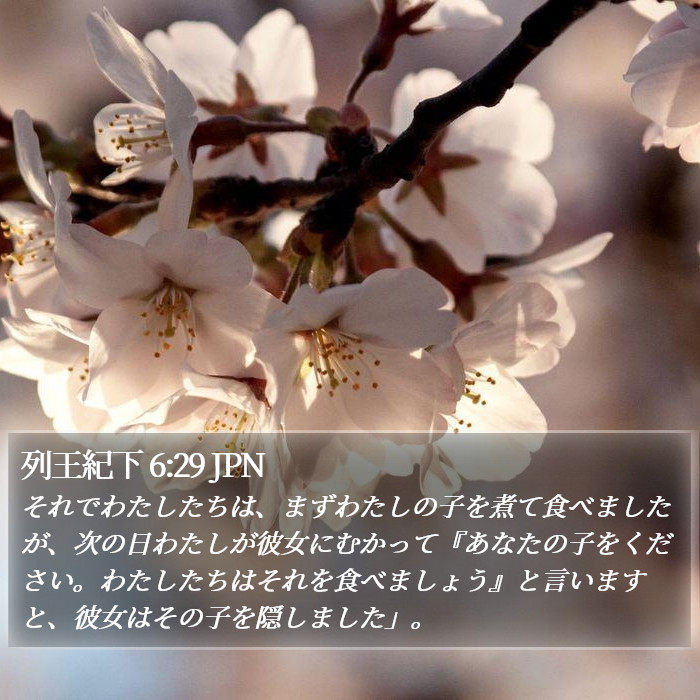 列王紀下 6:29 JPN Bible Study