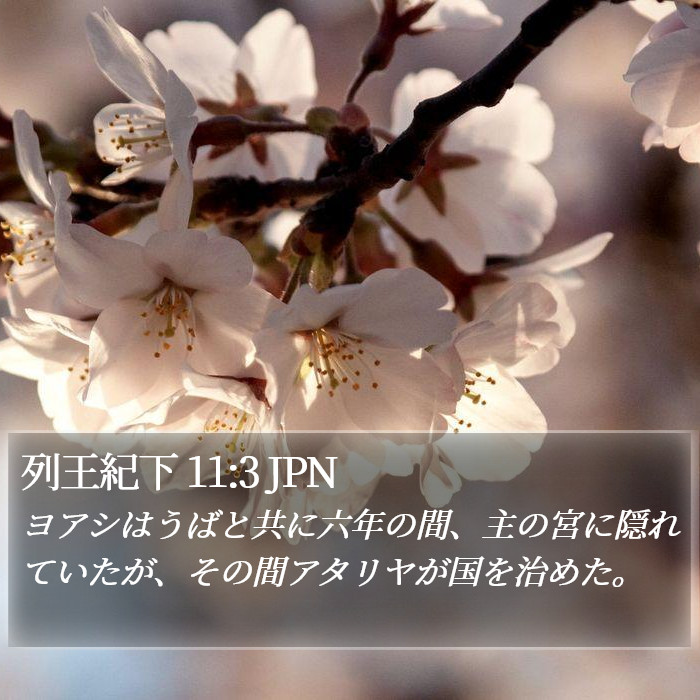 列王紀下 11:3 JPN Bible Study