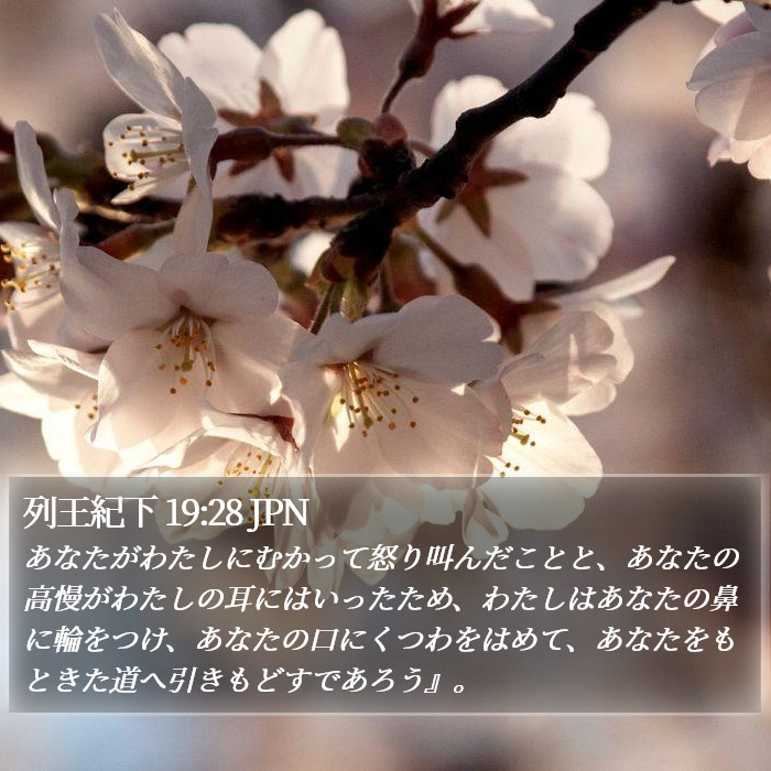 列王紀下 19:28 JPN Bible Study