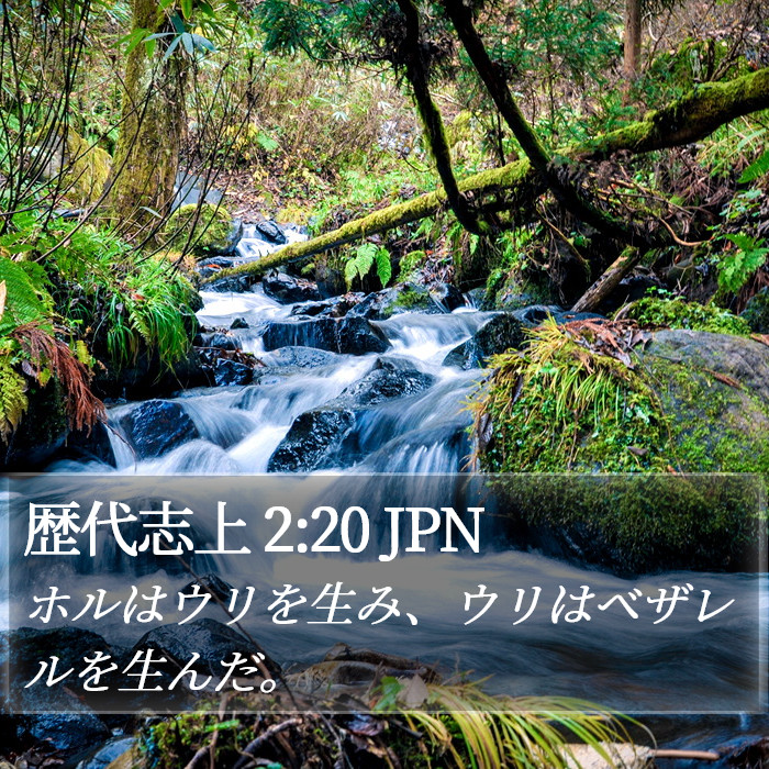 歴代志上 2:20 JPN Bible Study