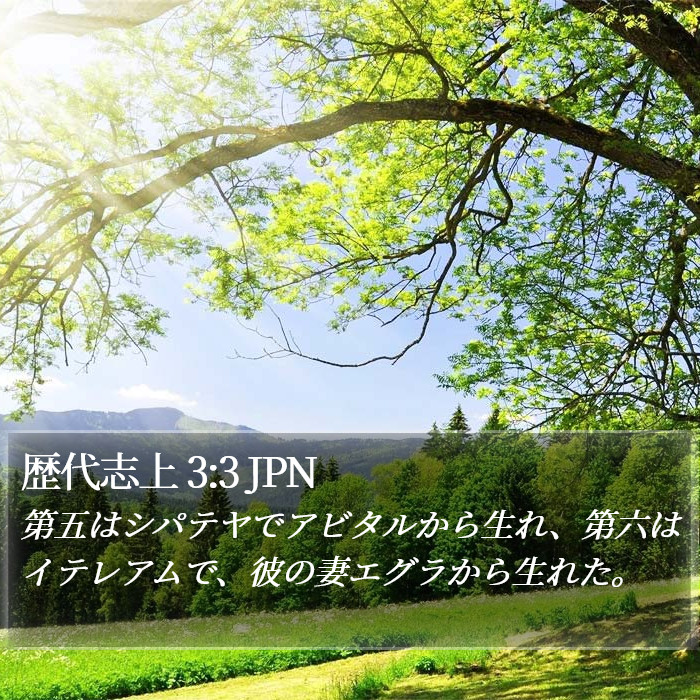 歴代志上 3:3 JPN Bible Study