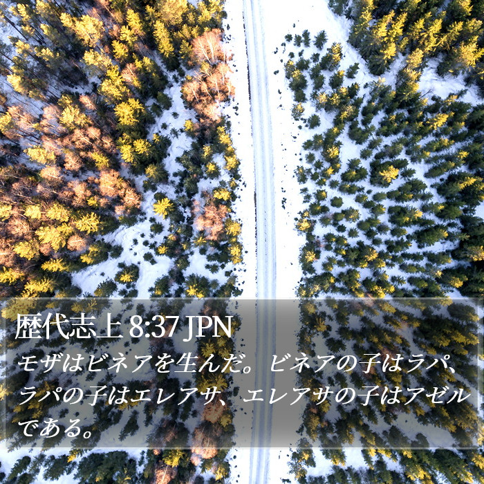 歴代志上 8:37 JPN Bible Study