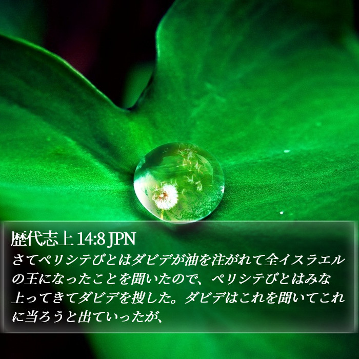 歴代志上 14:8 JPN Bible Study