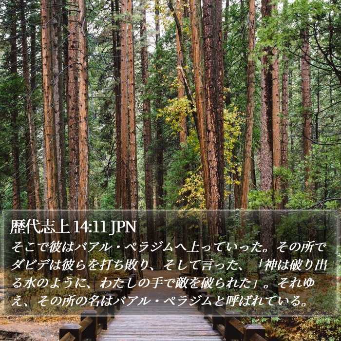 歴代志上 14:11 JPN Bible Study