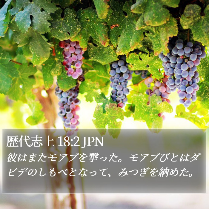 歴代志上 18:2 JPN Bible Study