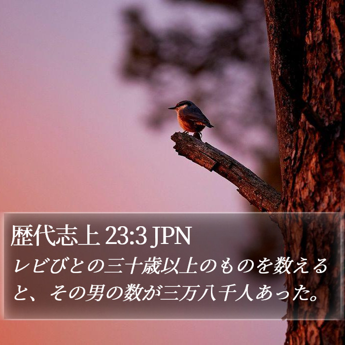 歴代志上 23:3 JPN Bible Study