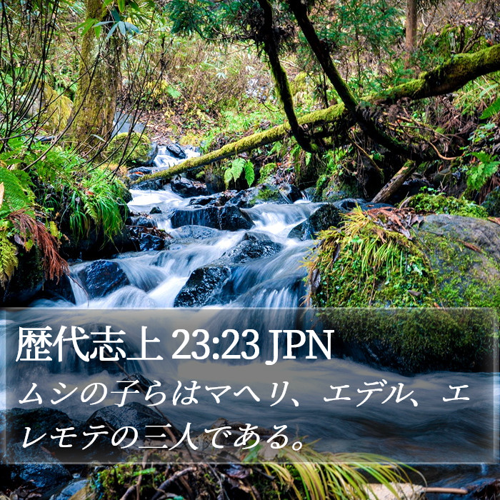 歴代志上 23:23 JPN Bible Study