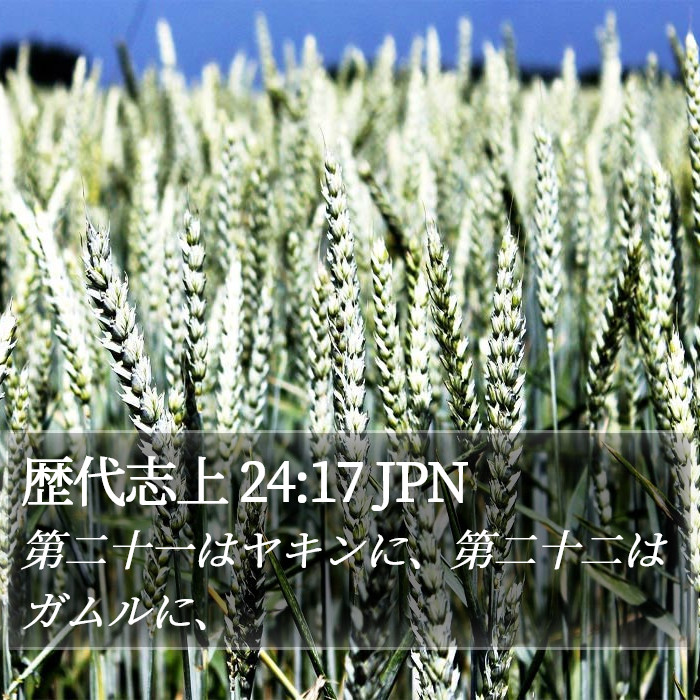 歴代志上 24:17 JPN Bible Study