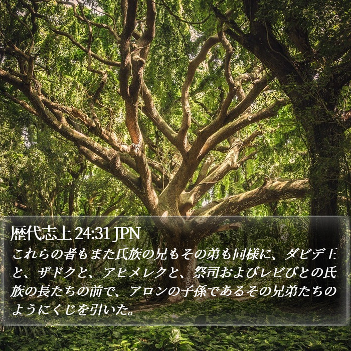 歴代志上 24:31 JPN Bible Study