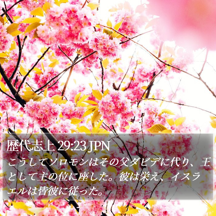歴代志上 29:23 JPN Bible Study