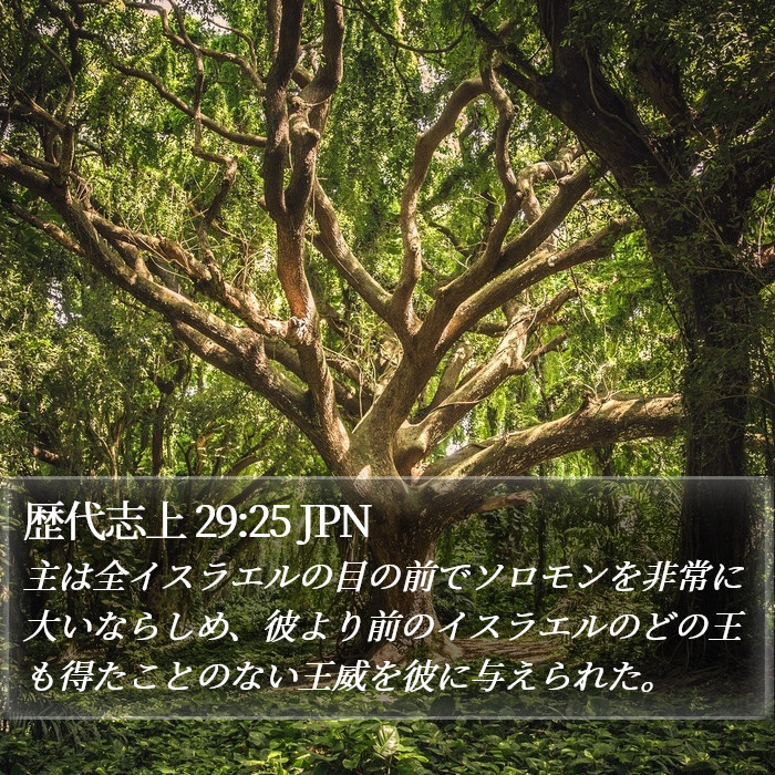 歴代志上 29:25 JPN Bible Study