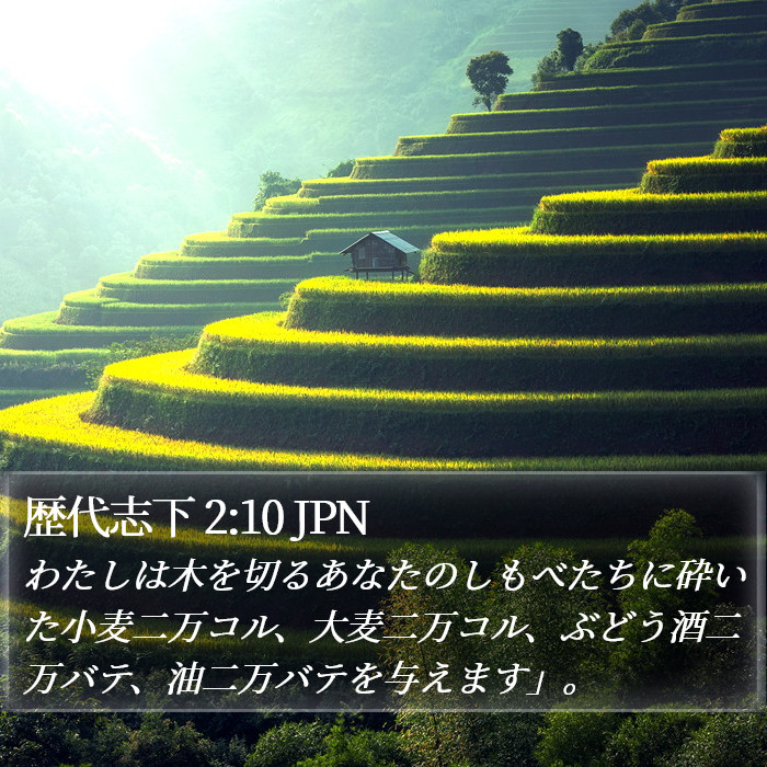 歴代志下 2:10 JPN Bible Study