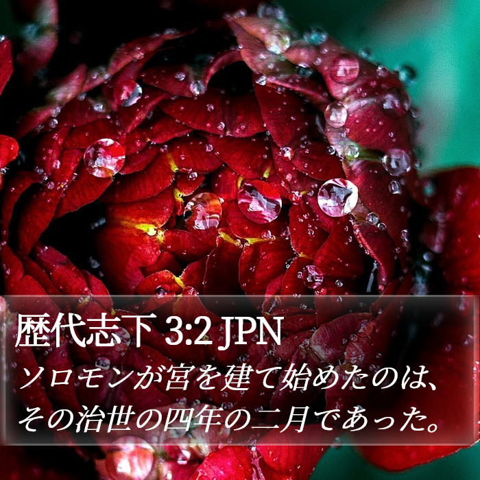 歴代志下 3:2 JPN Bible Study