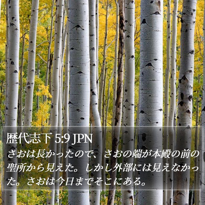 歴代志下 5:9 JPN Bible Study