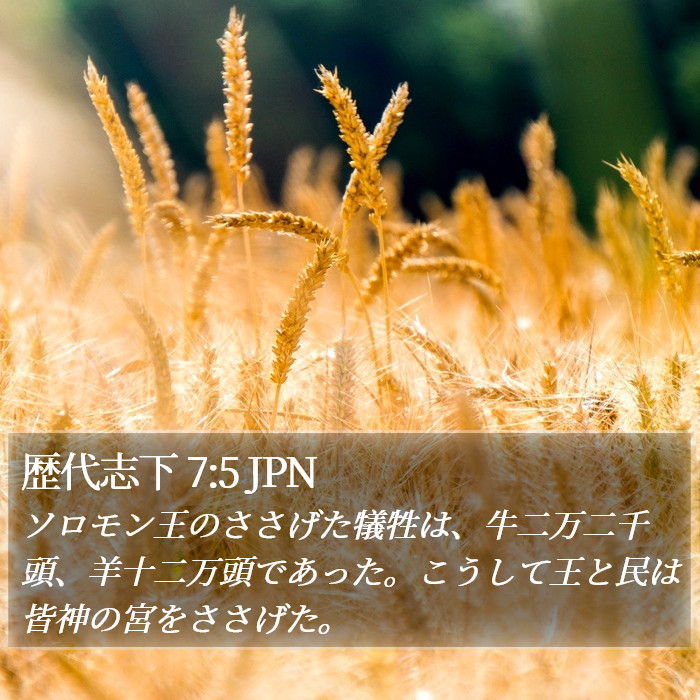 歴代志下 7:5 JPN Bible Study