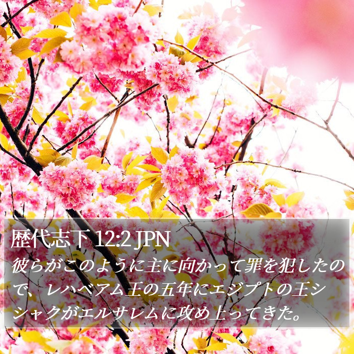 歴代志下 12:2 JPN Bible Study