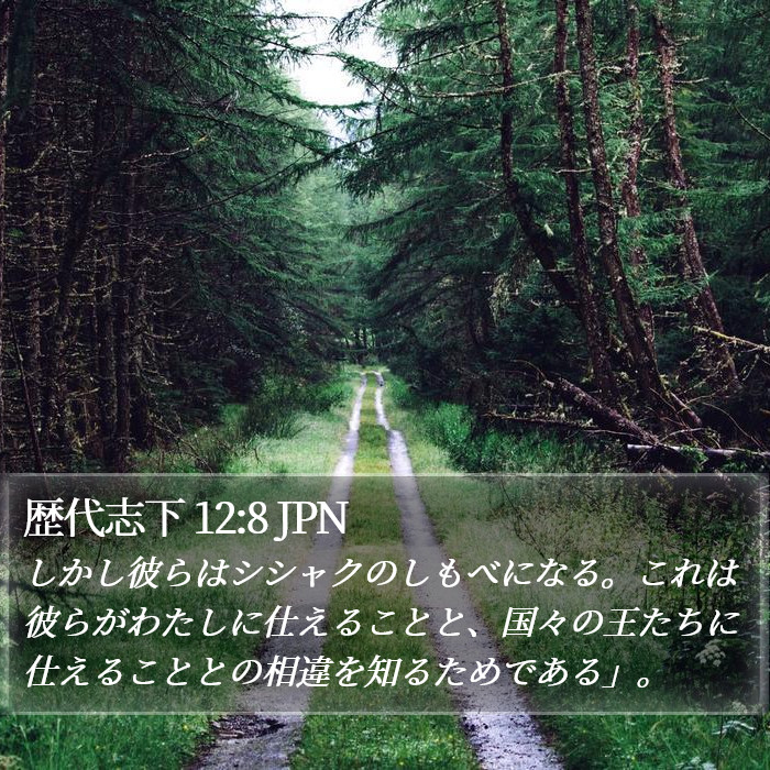 歴代志下 12:8 JPN Bible Study