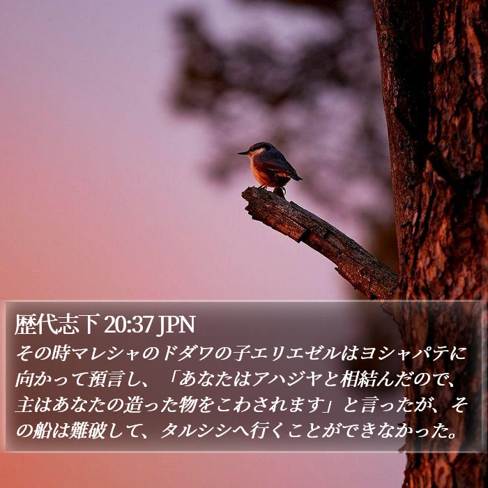 歴代志下 20:37 JPN Bible Study