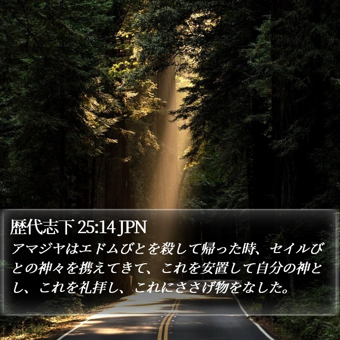 歴代志下 25:14 JPN Bible Study