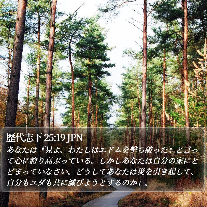 歴代志下 25:19 JPN Bible Study