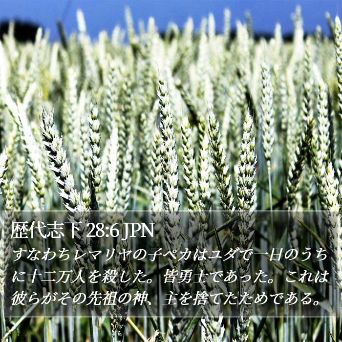 歴代志下 28:6 JPN Bible Study