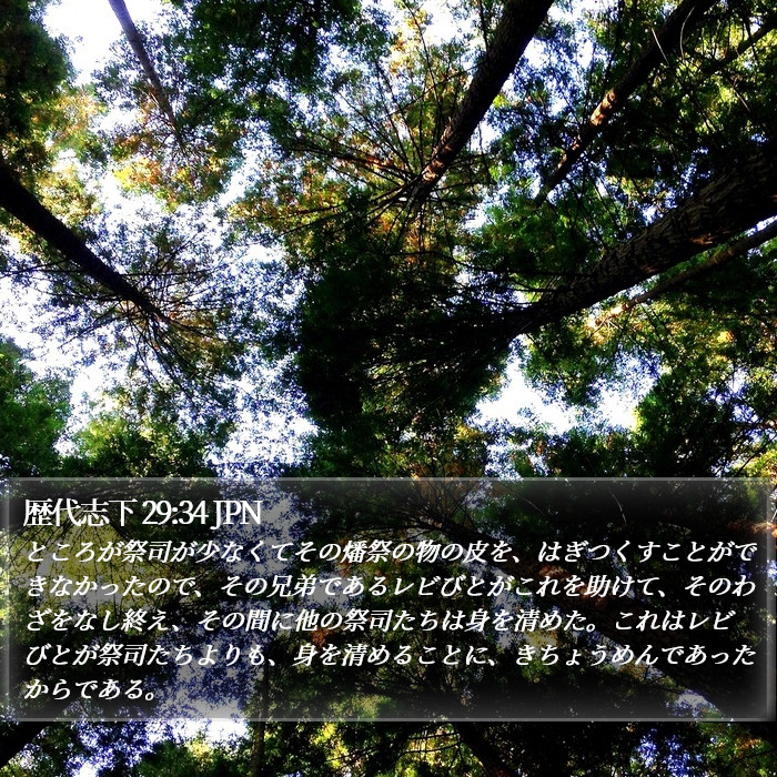 歴代志下 29:34 JPN Bible Study