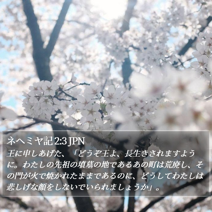 ネヘミヤ記 2:3 JPN Bible Study