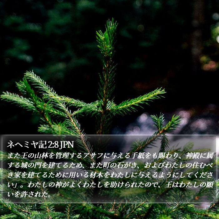 ネヘミヤ記 2:8 JPN Bible Study