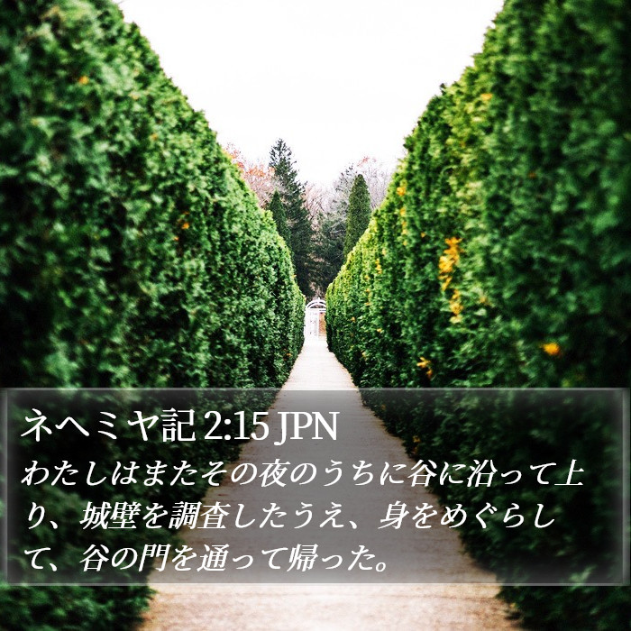ネヘミヤ記 2:15 JPN Bible Study