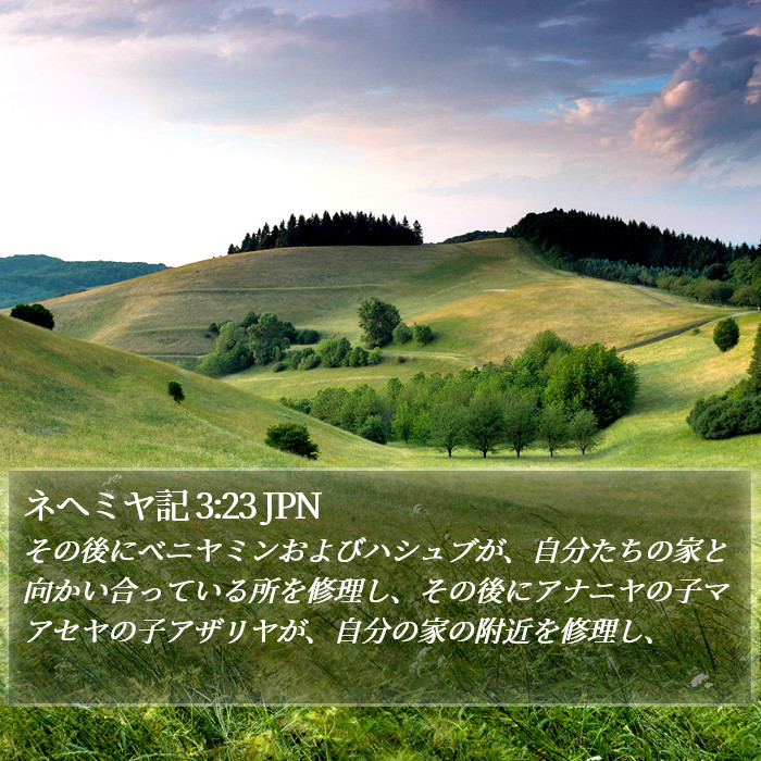 ネヘミヤ記 3:23 JPN Bible Study
