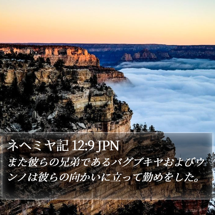 ネヘミヤ記 12:9 JPN Bible Study