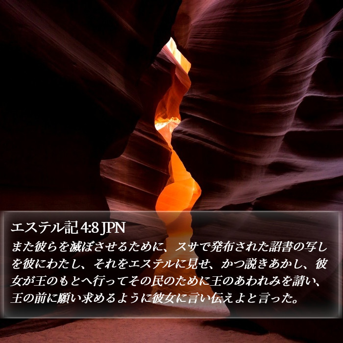 エステル記 4:8 JPN Bible Study