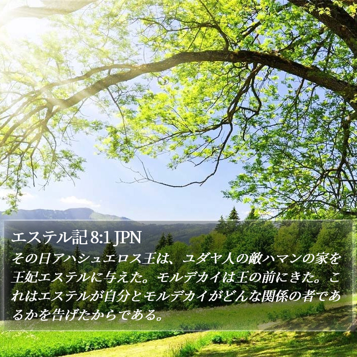 エステル記 8:1 JPN Bible Study