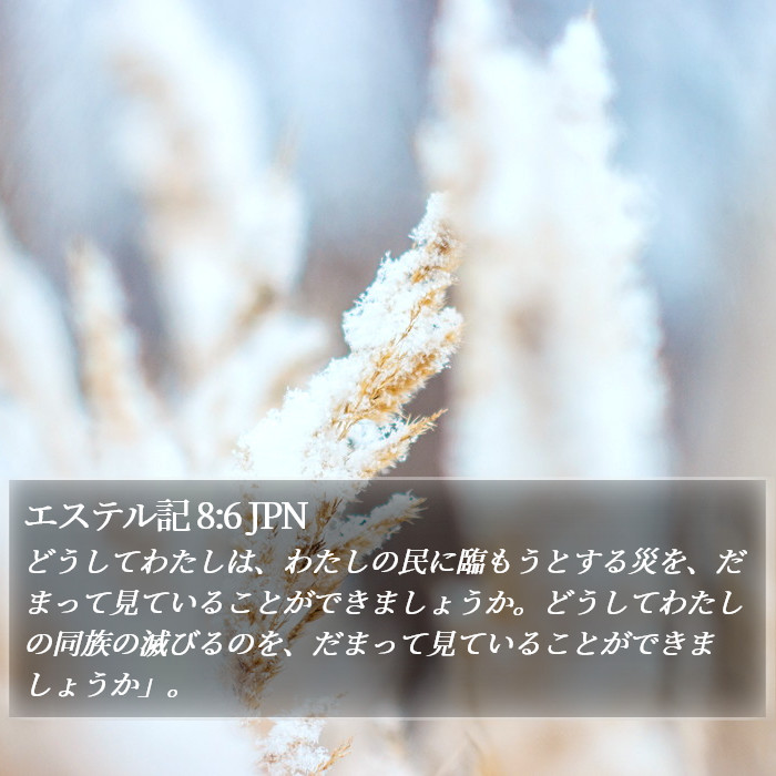 エステル記 8:6 JPN Bible Study