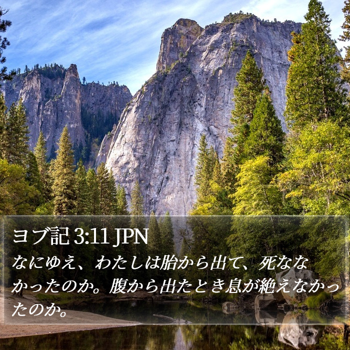 ヨブ記 3:11 JPN Bible Study