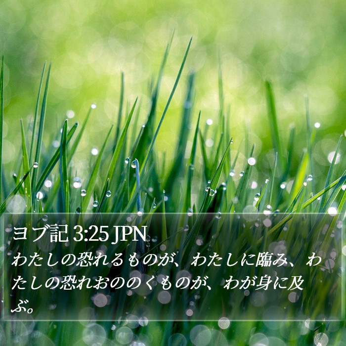 ヨブ記 3:25 JPN Bible Study