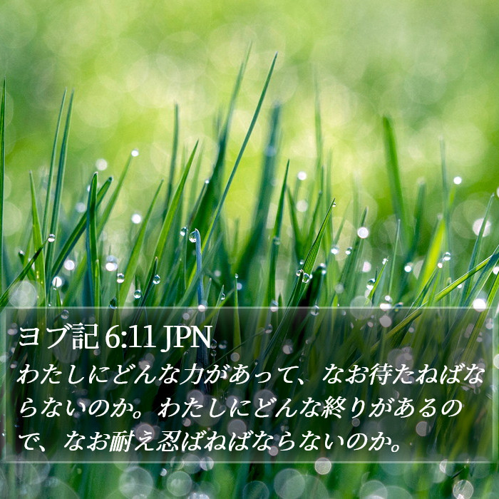 ヨブ記 6:11 JPN Bible Study