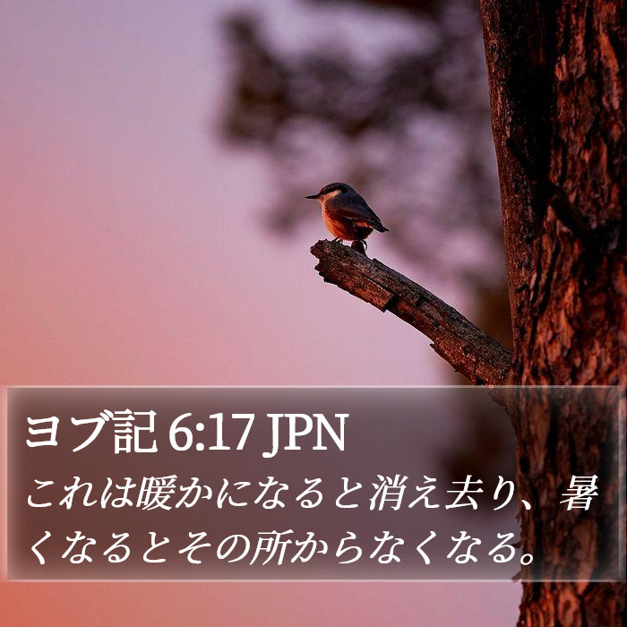 ヨブ記 6:17 JPN Bible Study