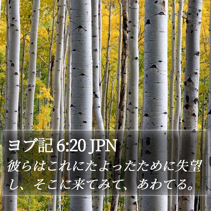 ヨブ記 6:20 JPN Bible Study